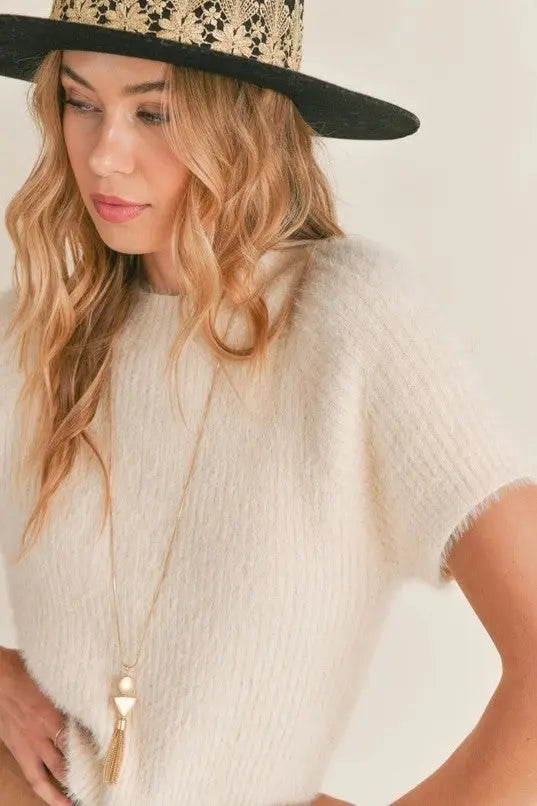 The Tiny Details Fuzzy Ribbed Short Sleeve Sweater Top