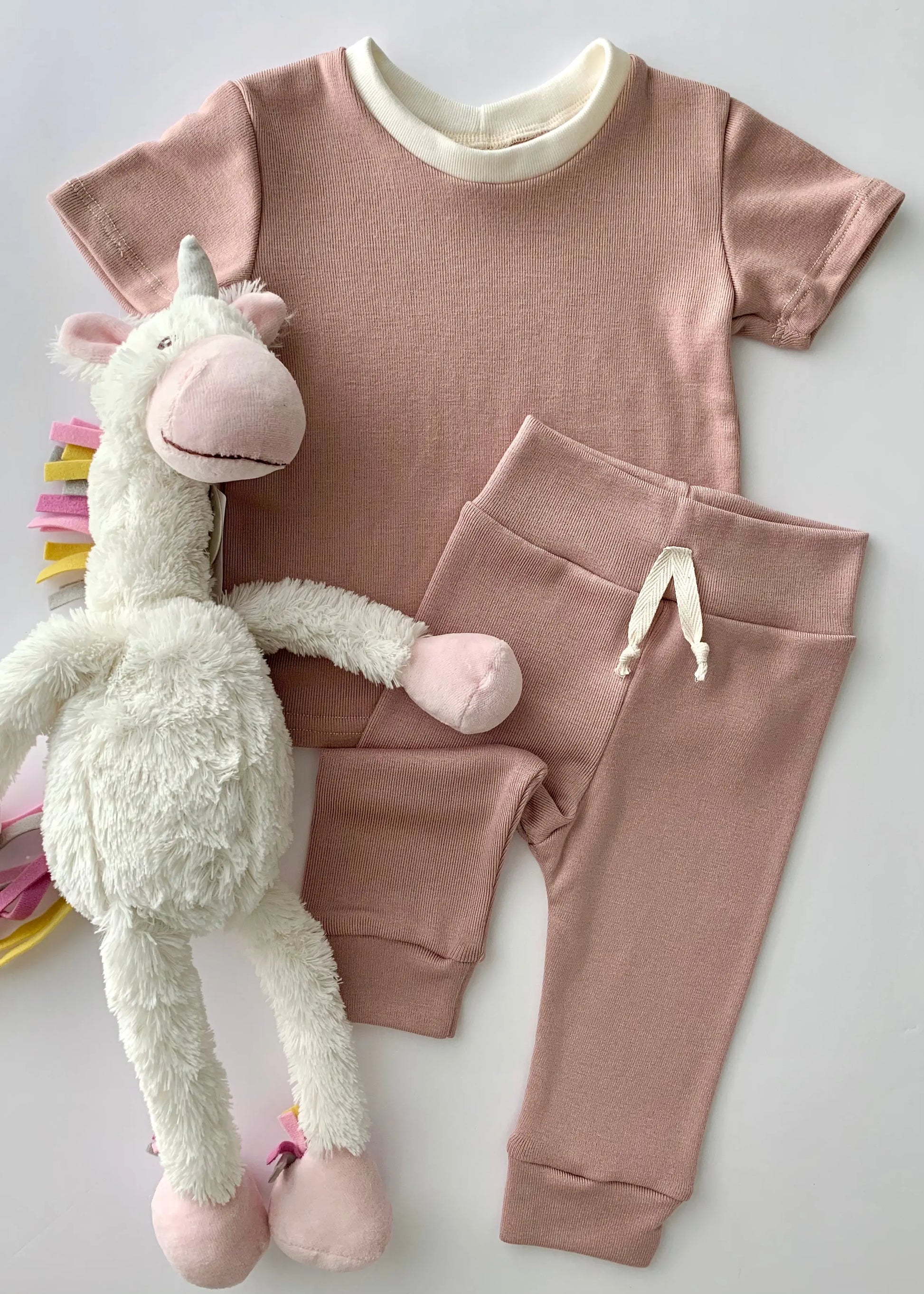 The Tiny Details Blush Baby Joggers