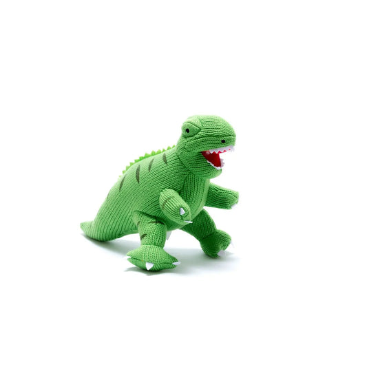 The Tiny Details Knitted Green T Rex Dinosaur Plush Toy