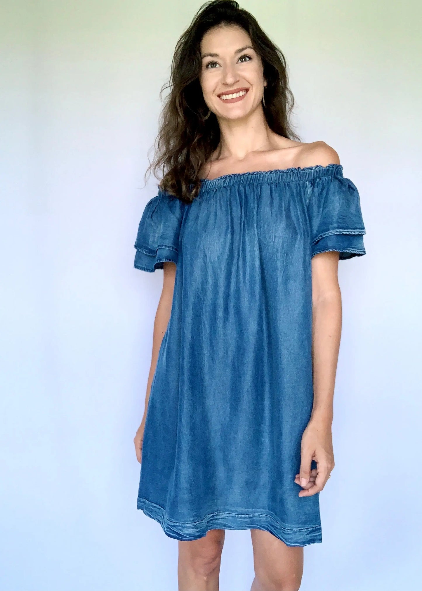 The Tiny Details OTS Flutter Sleeve Woven Chambray Dress